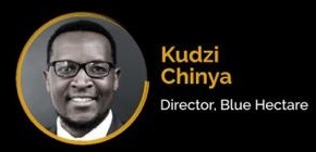 You are currently viewing Kudzie Chinya